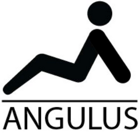 ANGULUS logo