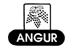 ANGUR logo