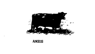 ANGUS logo