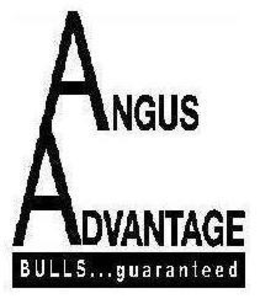 ANGUS ADVANTAGE BULLS...GUARANTEED logo