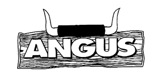 ANGUS USDA INSPECTED logo