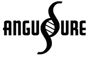 ANGUSURE logo