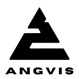 ANGVIS logo