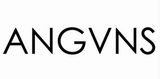 ANGVNS logo