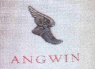 ANGWIN logo