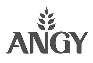 ANGY logo