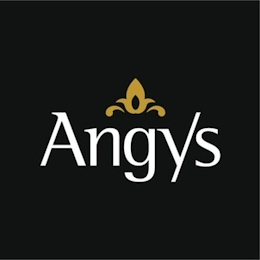 ANGYS logo