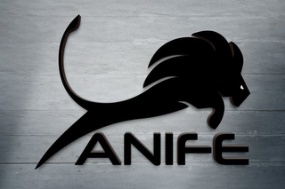 ANIFE logo
