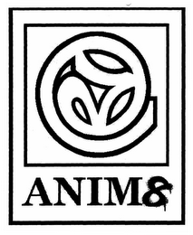 ANIM8 logo