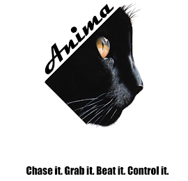 ANIMA CHASE IT. GRAB IT. BEAT IT. CONTROL IT. logo