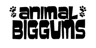 ANIMAL BIGGUMS logo