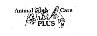 ANIMAL CARE PLUS logo