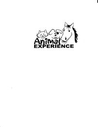 ANIMAL EXPERIENCE logo