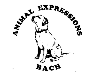 ANIMAL EXPRESSIONS BACH logo