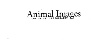 ANIMAL IMAGES...CUSTOM PET PHOTOGRAPHY logo