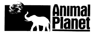 ANIMAL PLANET logo
