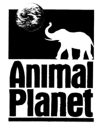 ANIMAL PLANET logo