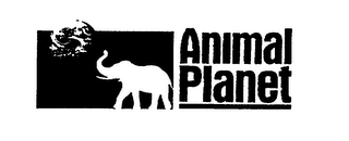 ANIMAL PLANET logo
