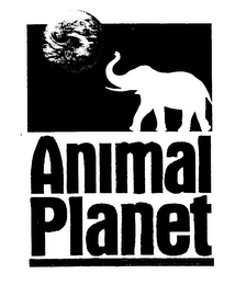 ANIMAL PLANET logo