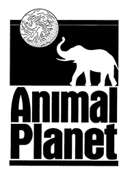 ANIMAL PLANET logo