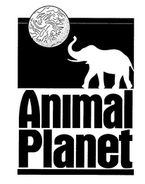 ANIMAL PLANET logo