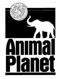 ANIMAL PLANET logo