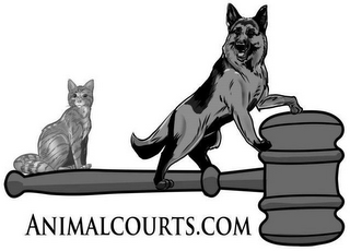 ANIMALCOURTS.COM logo