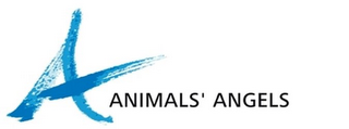 ANIMALS' ANGELS logo