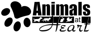 ANIMALS AT HEART logo