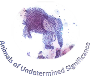 ANIMALS OF UNDETERMINED SIGNIFICANCE logo