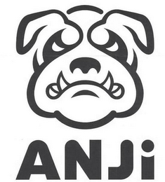 ANJI logo