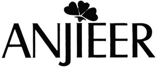 ANJIEER logo