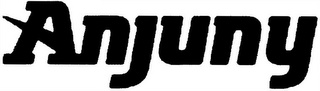 ANJUNY logo
