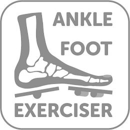 ANKLE FOOT EXERCISER logo
