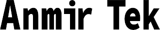 ANMIR TEK logo