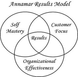 ANNAMAR RESULTS MODEL SELF MASTERY CUSTOMER FOCUS ORGANIZATIONAL EFFECTIVENESS RESULTS logo