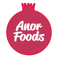 ANOR FOODS logo