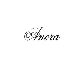 ANORA logo