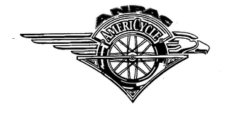 ANPAC AMERICYCLE logo