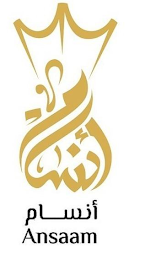 ANSAAM logo