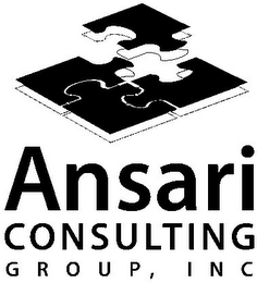 ANSARI CONSULTING GROUP, INC logo