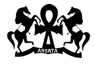 ANSATA logo