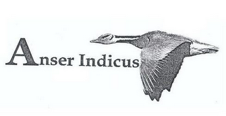 ANSER INDICUS logo
