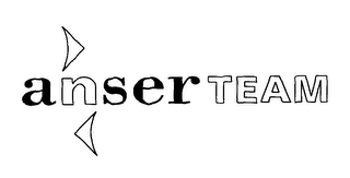 ANSER TEAM logo
