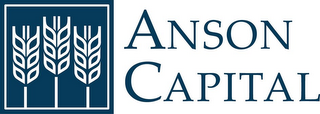 ANSON CAPITAL logo