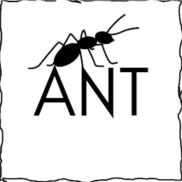 ANT logo