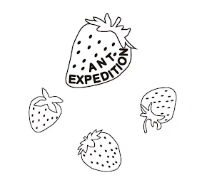 ANT EXPEDITION logo
