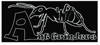ANT GRINDERS logo