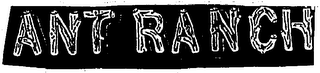 ANT RANCH logo