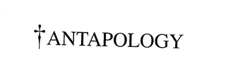 ANTAPOLOGY logo